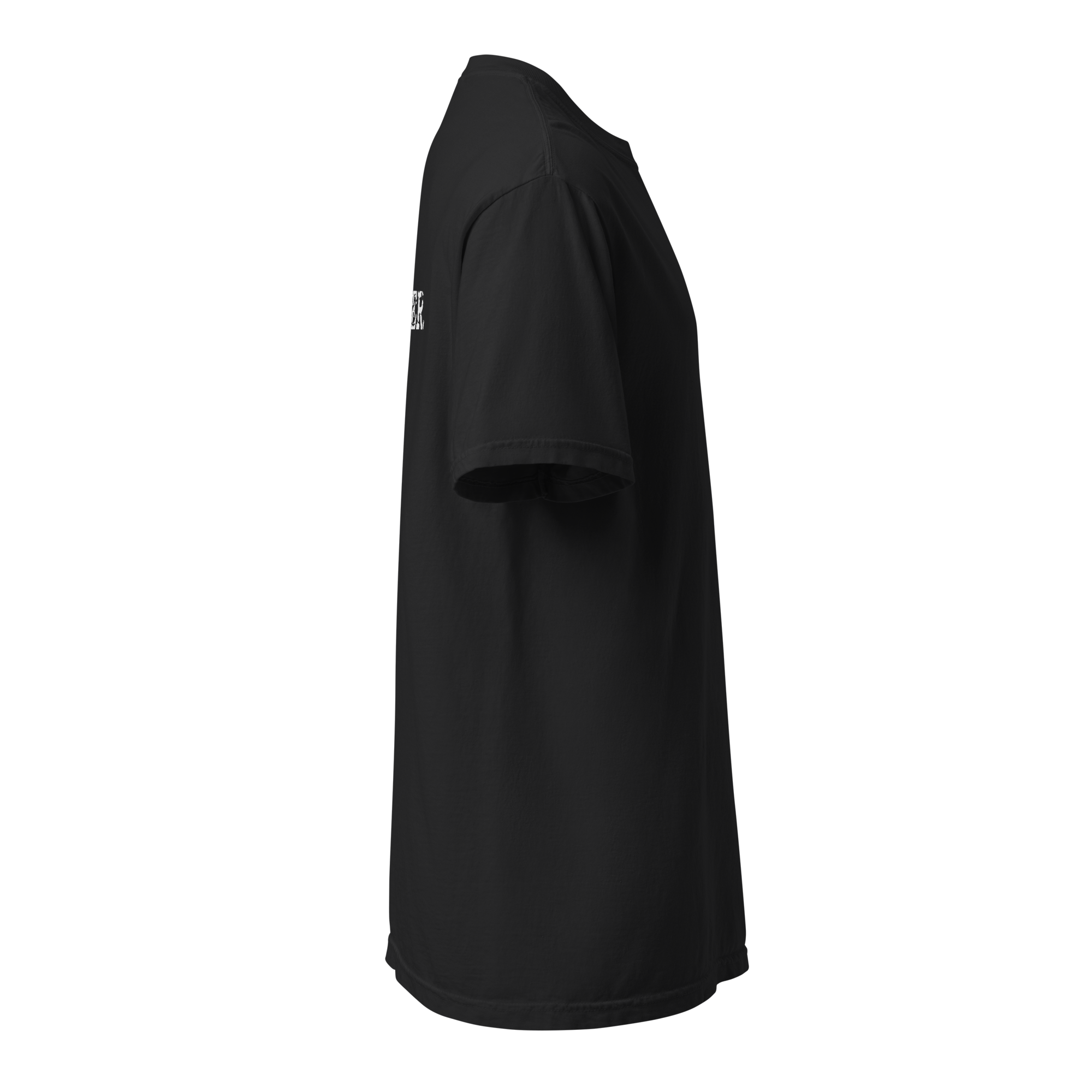 Rogue T-Shirt